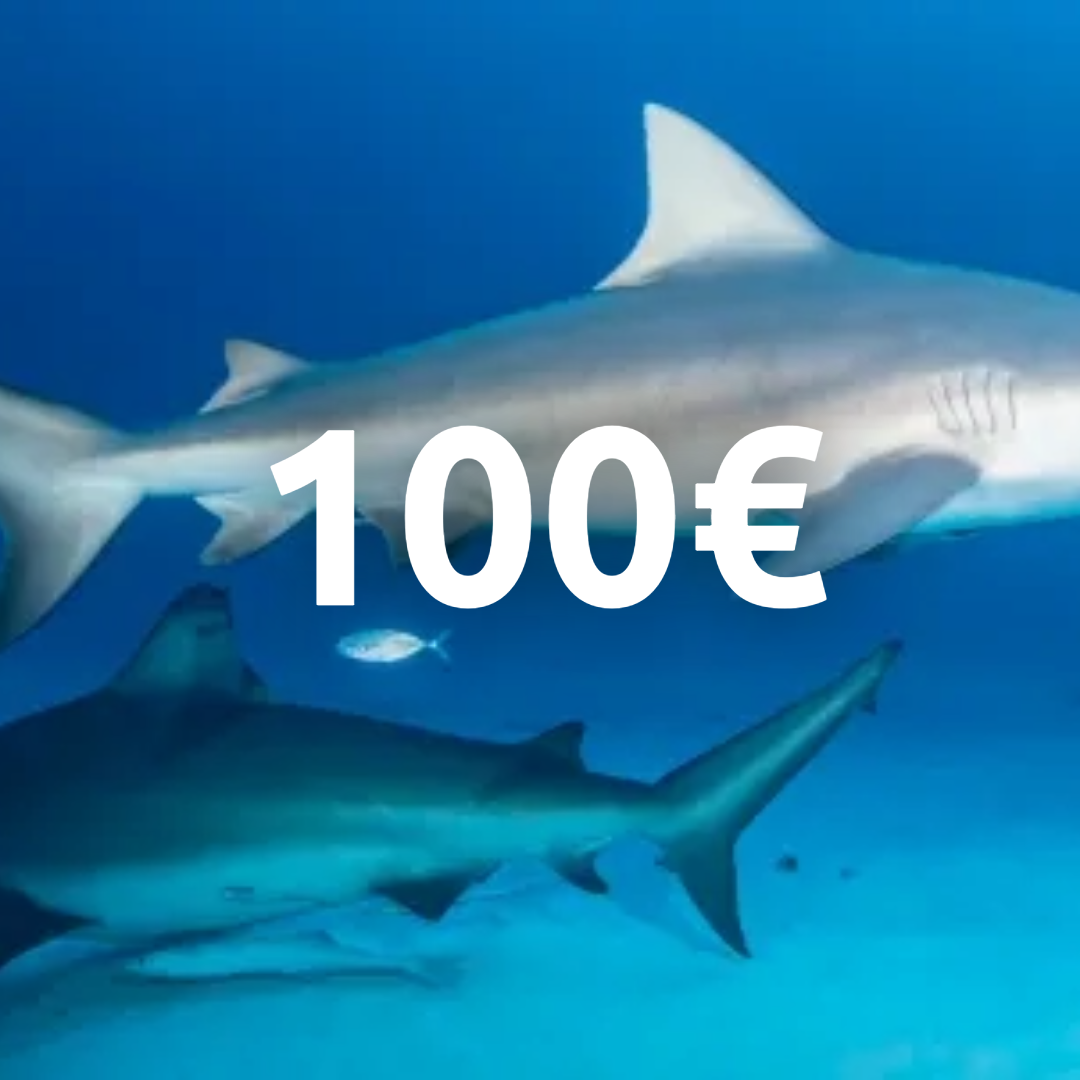 Carte cadeau 100€ !