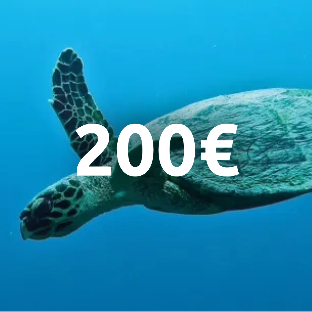 Carte cadeau 200€ !