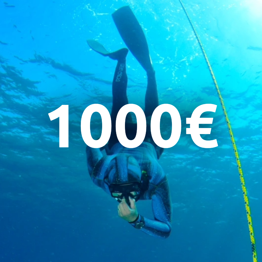 Carte cadeau 1000€ !