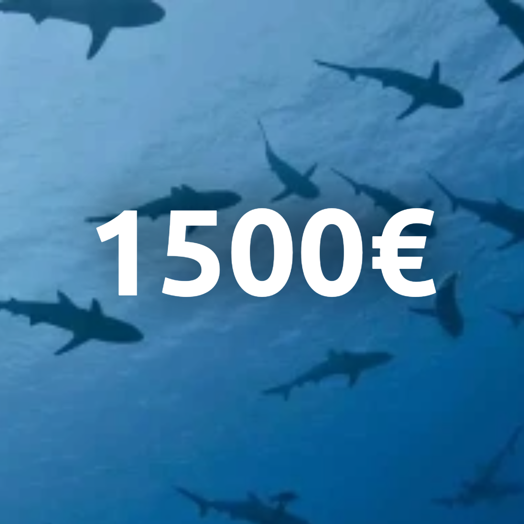 Carte cadeau 1500€ !