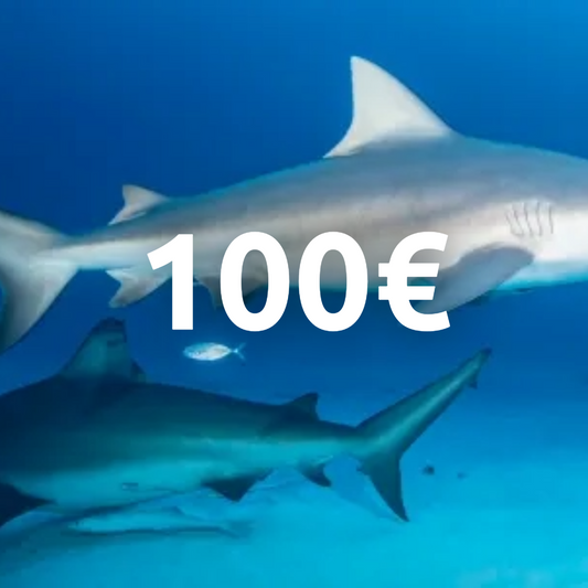 Carte cadeau 100€ !
