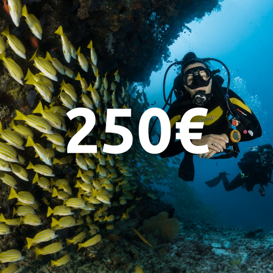 Carte cadeau 250€ !