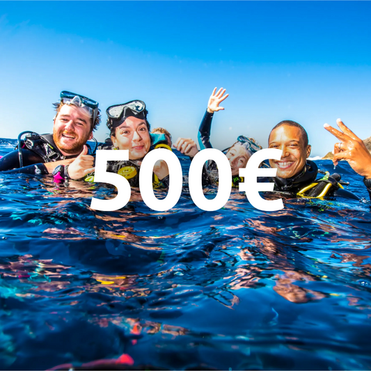 Carte cadeau 500€ !