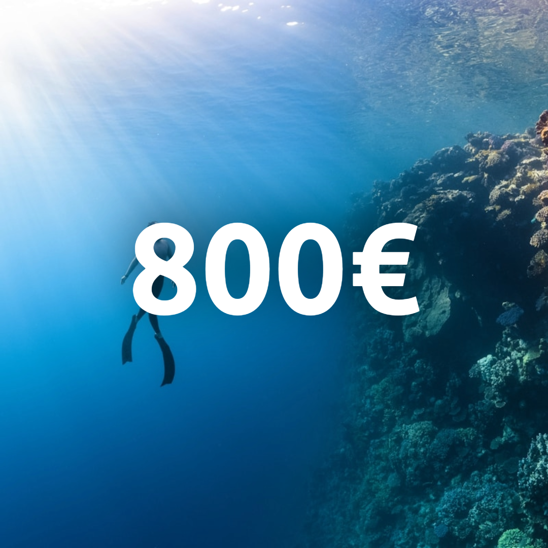 Carte cadeau 800€ !